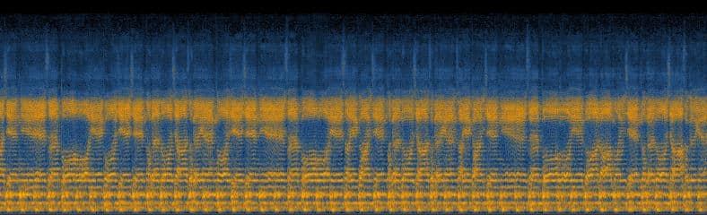 mantra chant spectrogram detail